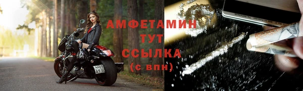 шишки Аркадак