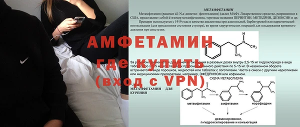 шишки Аркадак