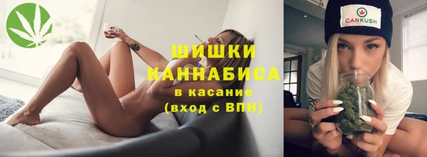 шишки Аркадак