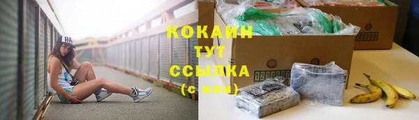 шишки Аркадак