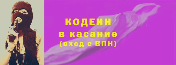 шишки Аркадак