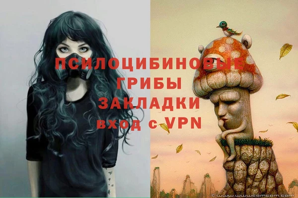 соль курить ск Арсеньев