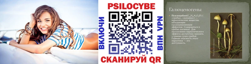 Псилоцибиновые грибы GOLDEN TEACHER  Новый Оскол 